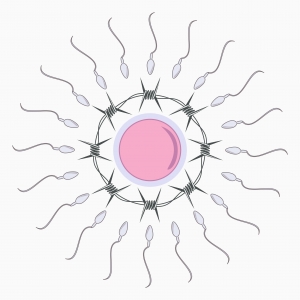 can stress prevent pregnancy