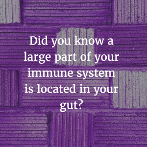 ImmuneSystemGut-300x300.png