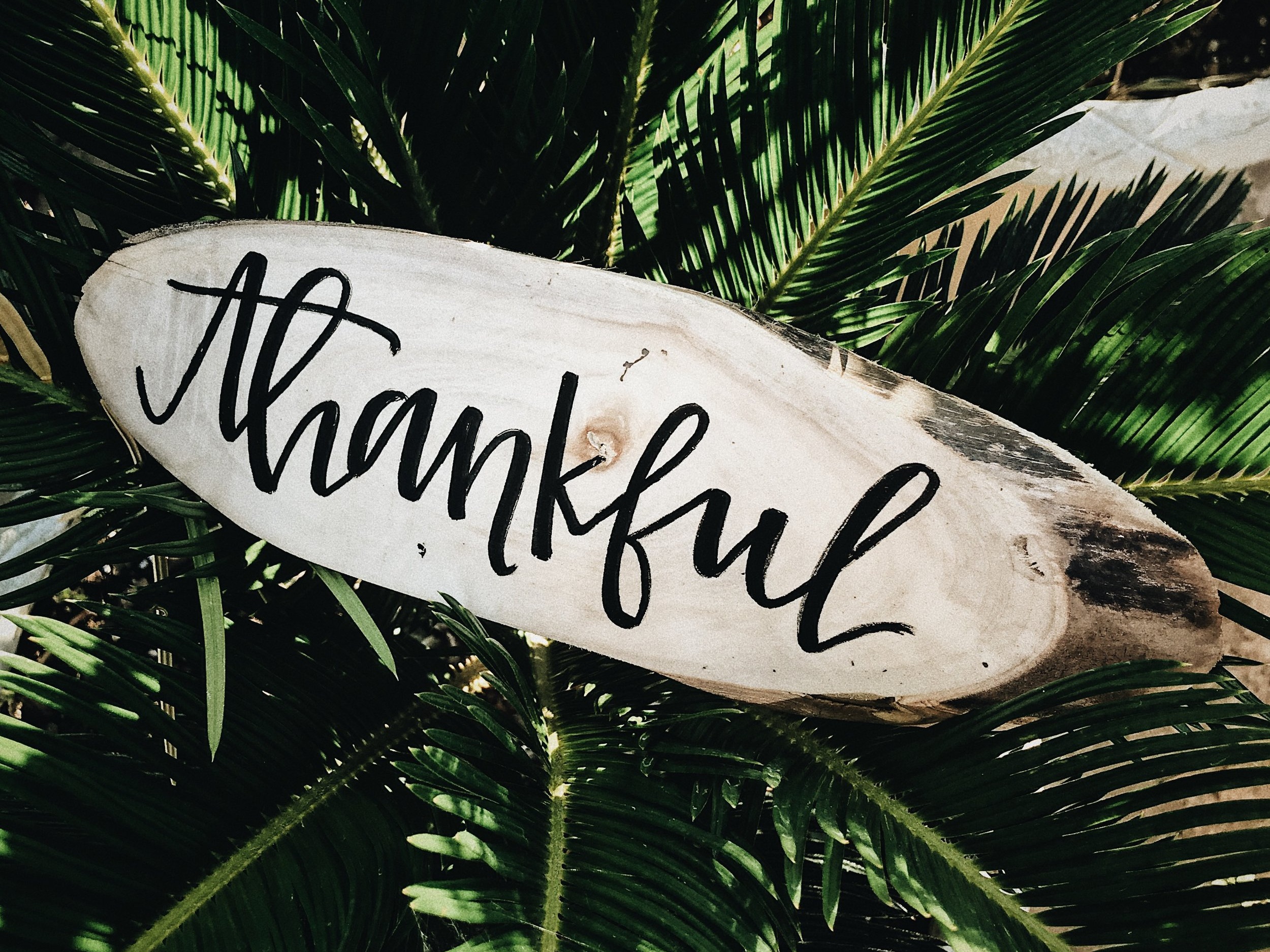 As we approach the spring, we begin planting our seeds of intention.