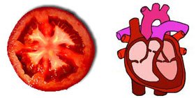 tomato-heart.jpg